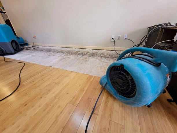 Professional Structural Drying technician working in Midfield, AL